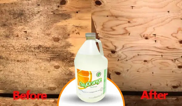 Oxy Orange® - Concentrated All Purpose Cleaner